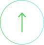 Scroll Top